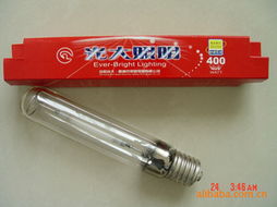沈陽光大鮑迪克照明電器鈉燈產品名錄與特性解析